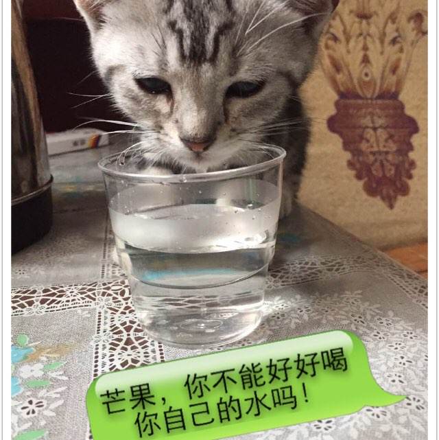怀俄明大学student card